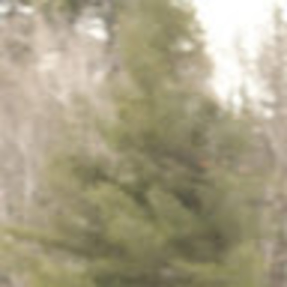 Meet your Posher, Cameron - Picture 1 of 1